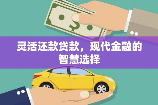 荔浦灵活还款贷款，现代金融的智慧选择