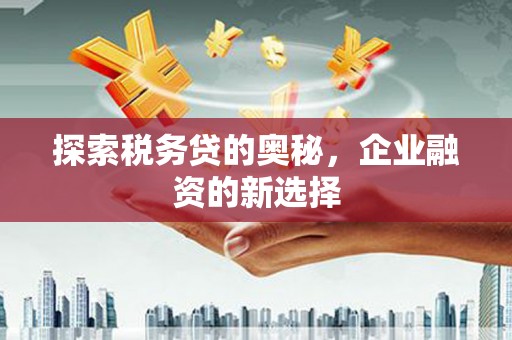 荔浦探索税务贷的奥秘，企业融资的新选择