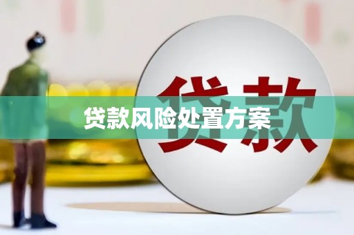 荔浦贷款风险处置方案