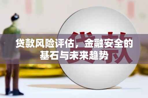 荔浦贷款风险评估，金融安全的基石与未来趋势