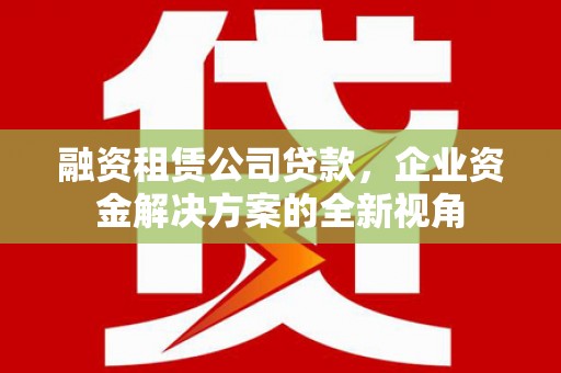 荔浦融资租赁公司贷款，企业资金解决方案的全新视角
