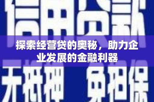 荔浦探索经营贷的奥秘，助力企业发展的金融利器