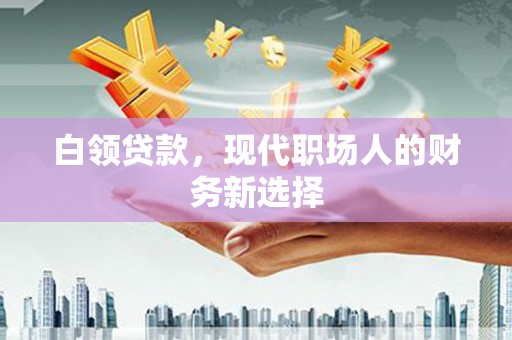 荔浦白领贷款，现代职场人的财务新选择