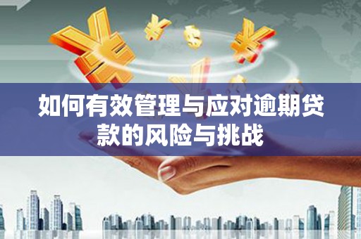 荔浦如何有效管理与应对逾期贷款的风险与挑战