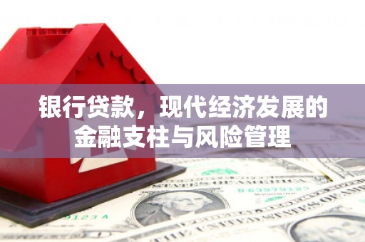 荔浦银行贷款，现代经济发展的金融支柱与风险管理