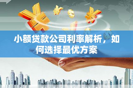 荔浦小额贷款公司利率解析，如何选择最优方案