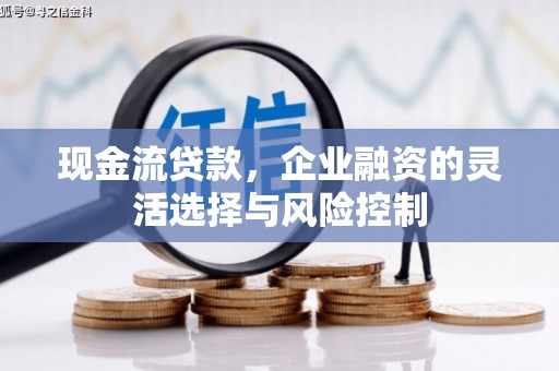荔浦现金流贷款，企业融资的灵活选择与风险控制