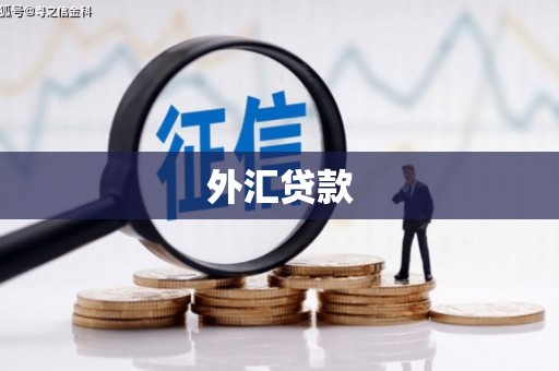 荔浦外汇贷款