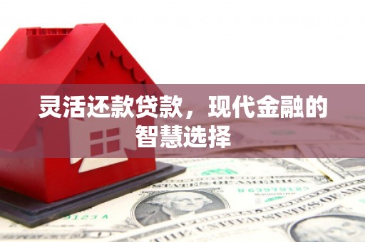 荔浦灵活还款贷款，现代金融的智慧选择