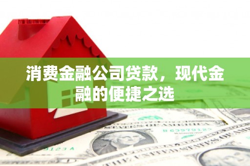 荔浦消费金融公司贷款，现代金融的便捷之选