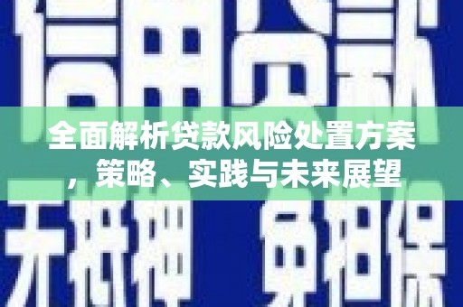 荔浦全面解析贷款风险处置方案，策略、实践与未来展望