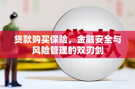 荔浦贷款购买保险，金融安全与风险管理的双刃剑
