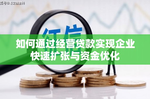 荔浦如何通过经营贷款实现企业快速扩张与资金优化