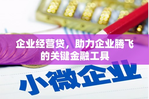 荔浦企业经营贷，助力企业腾飞的关键金融工具
