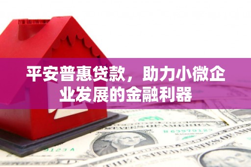 荔浦平安普惠贷款，助力小微企业发展的金融利器