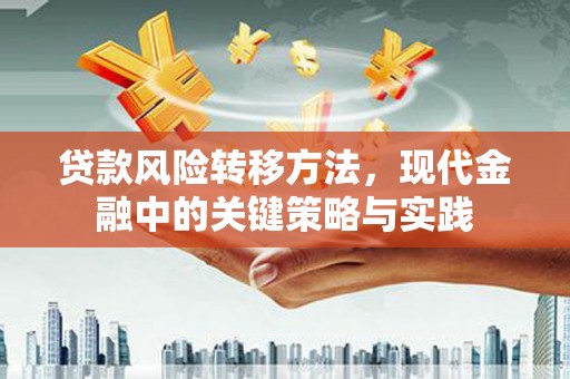 荔浦贷款风险转移方法，现代金融中的关键策略与实践