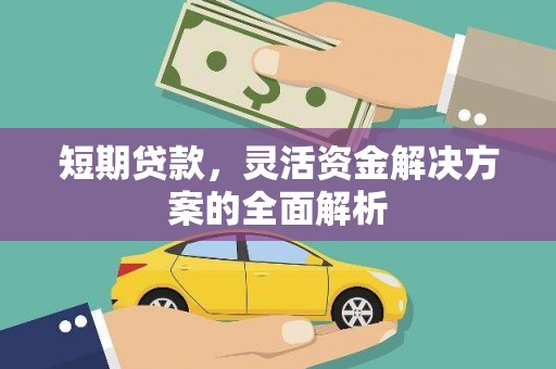 荔浦短期贷款，灵活资金解决方案的全面解析