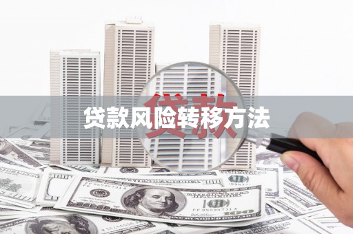 荔浦贷款风险转移方法