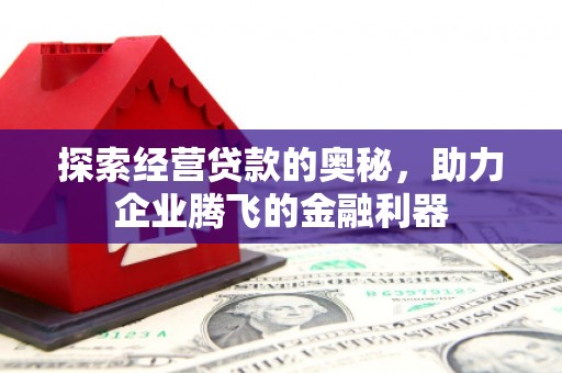 荔浦探索经营贷款的奥秘，助力企业腾飞的金融利器