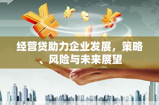 荔浦经营贷助力企业发展，策略、风险与未来展望