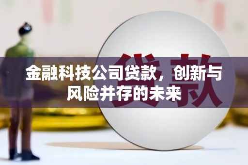 荔浦金融科技公司贷款，创新与风险并存的未来