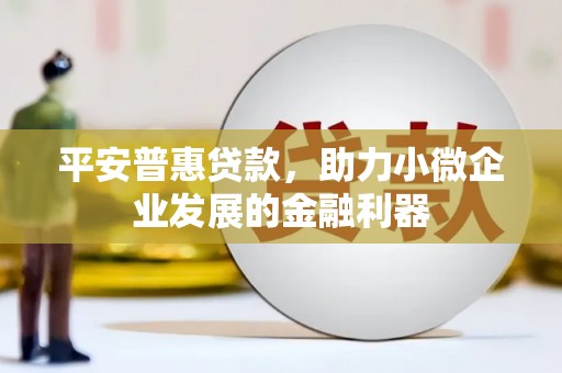 荔浦平安普惠贷款，助力小微企业发展的金融利器