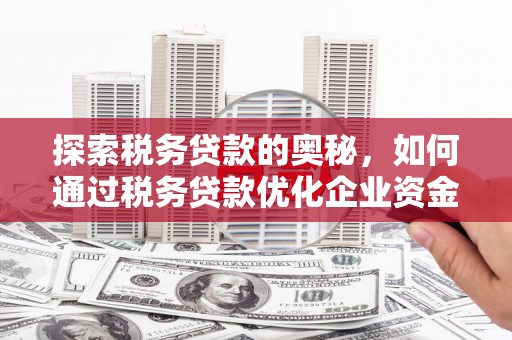 荔浦探索税务贷款的奥秘，如何通过税务贷款优化企业资金流