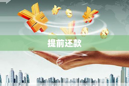 荔浦提前还款