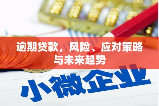 荔浦逾期贷款，风险、应对策略与未来趋势