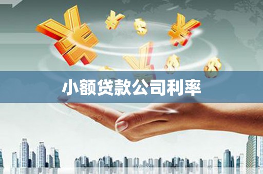 荔浦小额贷款公司利率