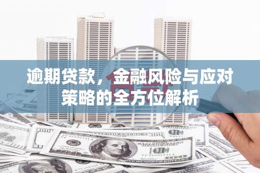 荔浦逾期贷款，金融风险与应对策略的全方位解析