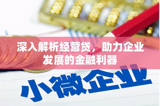 荔浦深入解析经营贷，助力企业发展的金融利器