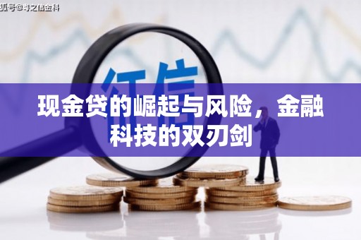 荔浦现金贷的崛起与风险，金融科技的双刃剑