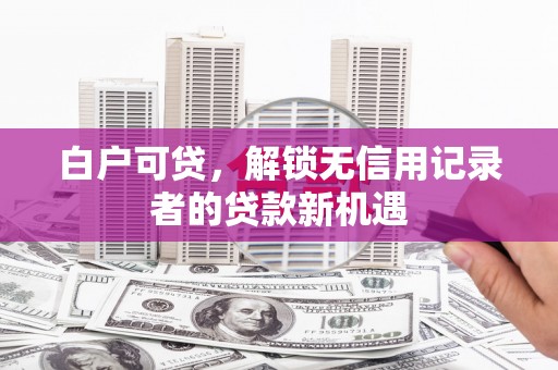 荔浦白户可贷，解锁无信用记录者的贷款新机遇