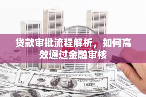 荔浦贷款审批流程解析，如何高效通过金融审核
