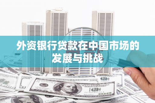 荔浦外资银行贷款在中国市场的发展与挑战
