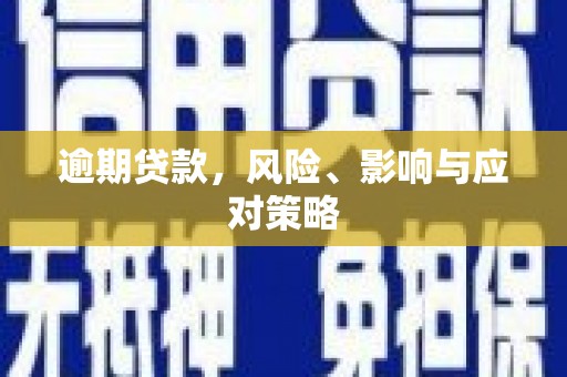荔浦逾期贷款，风险、影响与应对策略