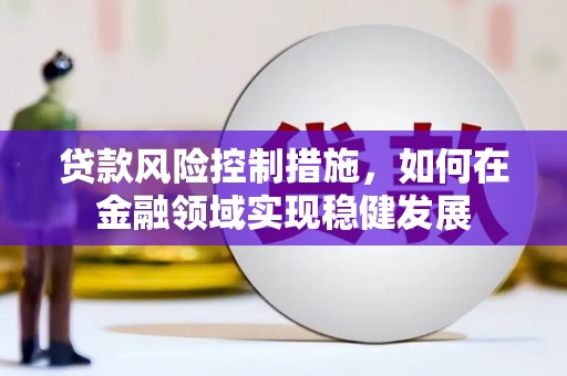 荔浦贷款风险控制措施，如何在金融领域实现稳健发展