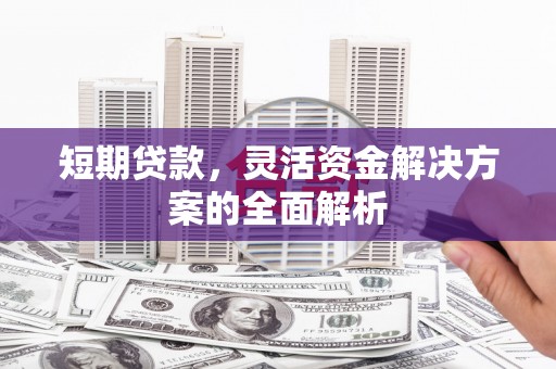 荔浦短期贷款，灵活资金解决方案的全面解析