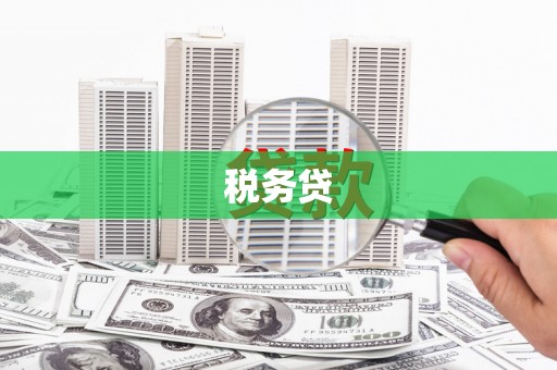 荔浦税务贷