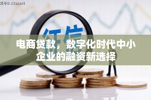 荔浦电商贷款，数字化时代中小企业的融资新选择