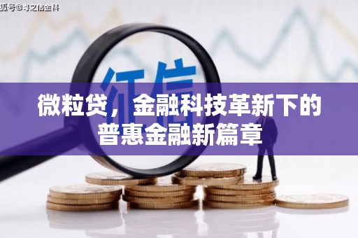 荔浦微粒贷，金融科技革新下的普惠金融新篇章