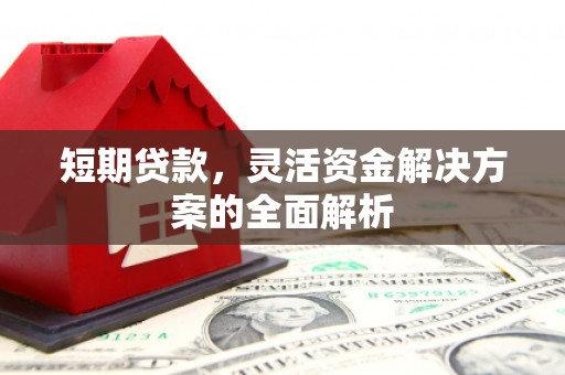 荔浦短期贷款，灵活资金解决方案的全面解析