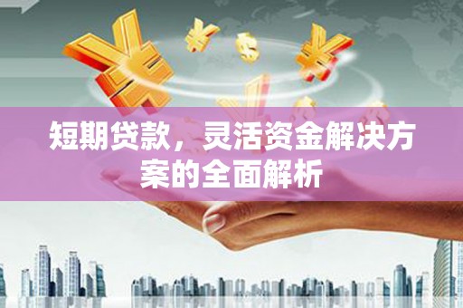 荔浦短期贷款，灵活资金解决方案的全面解析