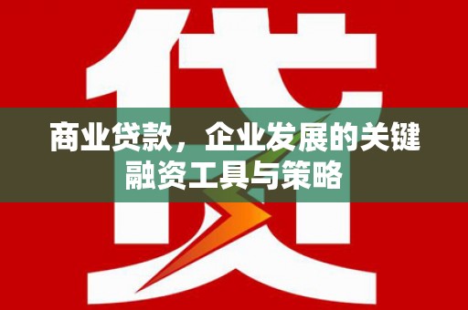 荔浦商业贷款，企业发展的关键融资工具与策略