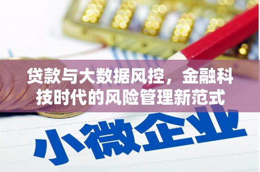 荔浦贷款与大数据风控，金融科技时代的风险管理新范式