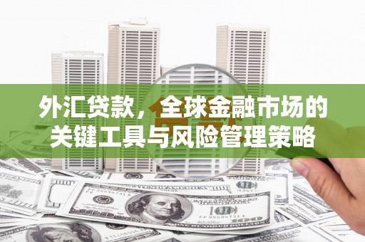 荔浦外汇贷款，全球金融市场的关键工具与风险管理策略
