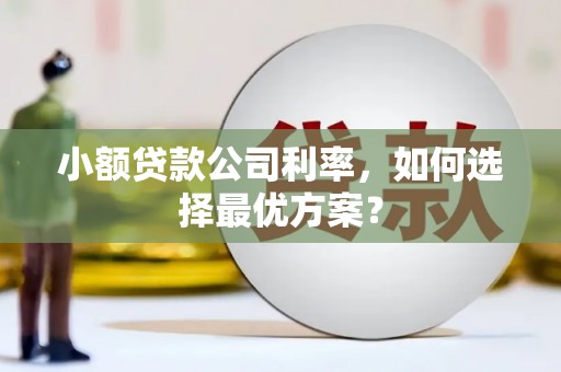 荔浦小额贷款公司利率，如何选择最优方案？