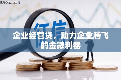 荔浦企业经营贷，助力企业腾飞的金融利器