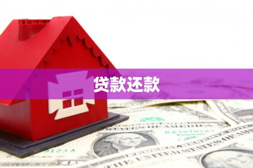 荔浦贷款还款